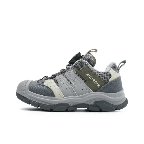 Dickies Низкий Топ Детская Беговая Обувь Серый Подростки