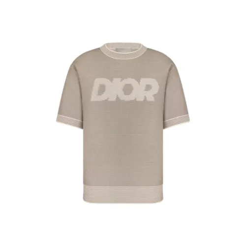 DIOR Коричневый Мужской T-Рубашки