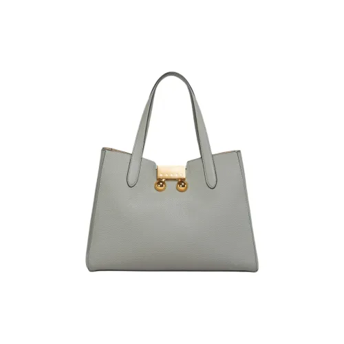 MARNI Trunkaroo Телячья кожа Тоут Сумка Сумка для покупок Сумка Маленькая Женская Серого цвета