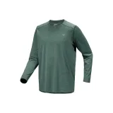 苍郁绿灰/Pytheas Heather