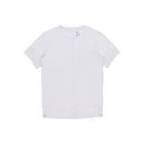 Светло-дымчатый серый