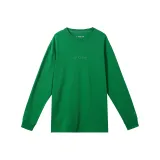 Сосновый зеленый