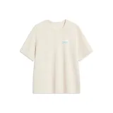 Лунный серый