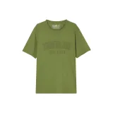 Цвет зеленого авокадо