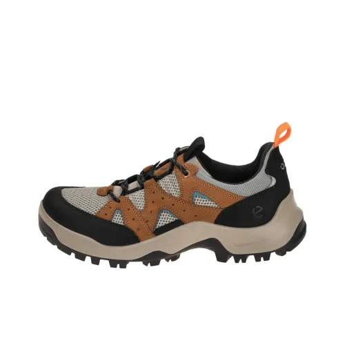 Ecco Off ROAD Series Уличная обувь Низкий топ Черный Коричневый Мужской