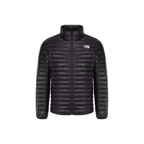 THE NORTH FACE Куртки и Пальто Мужской Черный