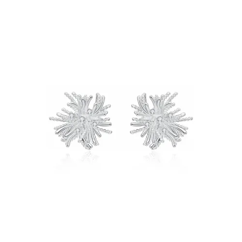 ZANC Серьги Женские