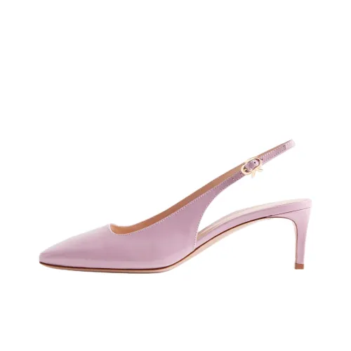 GIANVITO ROSSI NUIT Узкий каблук Высокие каблуки 5,5 см Женские Розовый