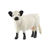 Галлоуэй Коровы-Один