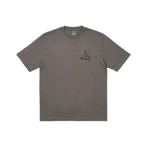 PALACE Коричневые Мужские T-рубашки