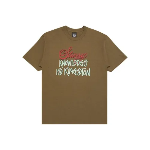 Stussy Коричневый Мужской T-Shirt