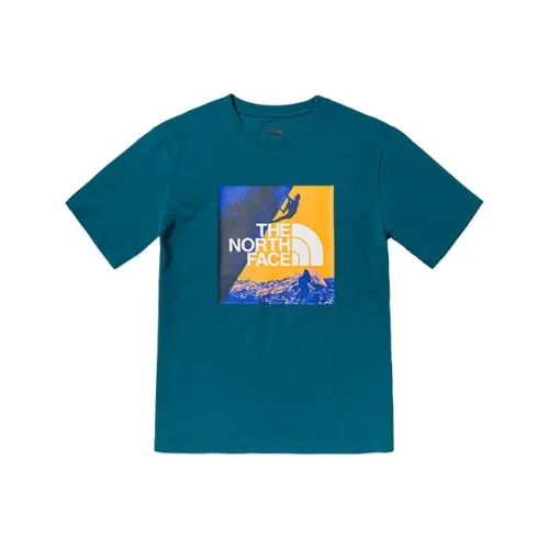 THE NORTH FACE T-Shirt Мужской Синий