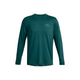 Павлин Зеленый