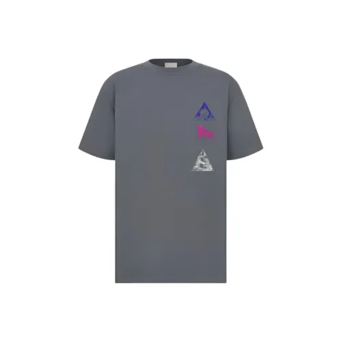 DIOR Серый Мужской T-Рубашки