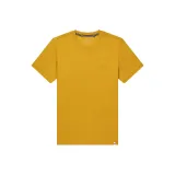 Горчичный жёлтый