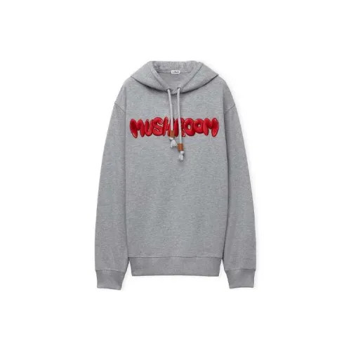 LOEWE Совместное издание Серые Мужские T-рубашки