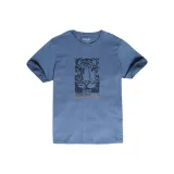 Серо-голубой