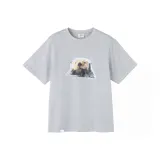 Светло-серый