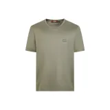 Боденсе Серый Зеленый