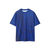 Рыцарский синий