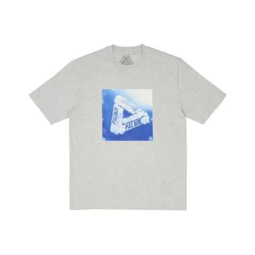 Дворцовый серый унисекс футболка