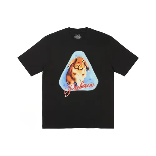 Дворцовый черный унисекс футболка