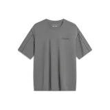 Грозовой серый