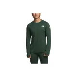 Сосновый зеленый цвет