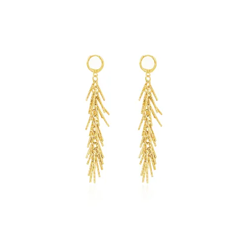 ZANC Сплав Серьги Женские