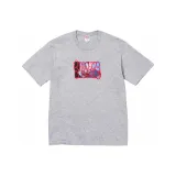 Серый/Фотиния Серый