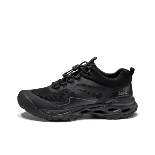 JEEP Противоскользящая Дышащая Устойчивая к Износу Обувь для Trekking Мужская Черная
