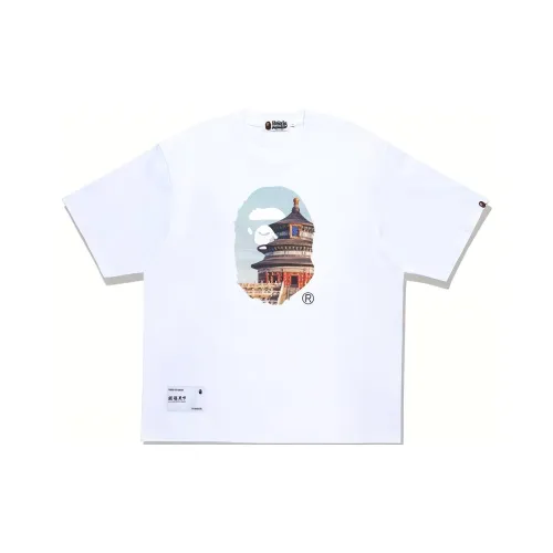 A BATHING APE Обезьяна Roams The World Collection FW23 T-Shirt Унисекс