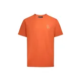 Закатный оранжевый C010