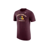 Каштановый