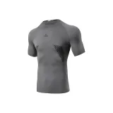 Серый замок