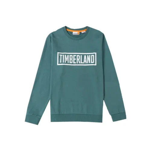 Timberland Бирюзовый Мужской T-Рубашки