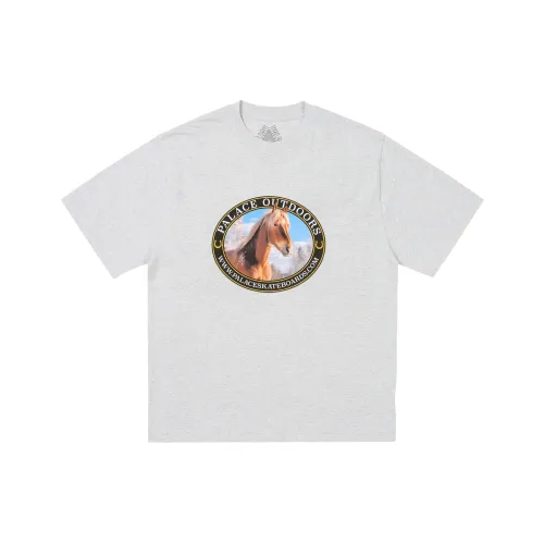 Дворцовый Праздника Серый Унисекс Т-рубашка