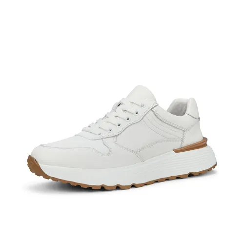 Linsen Low Top Повседневная Обувь Мужская