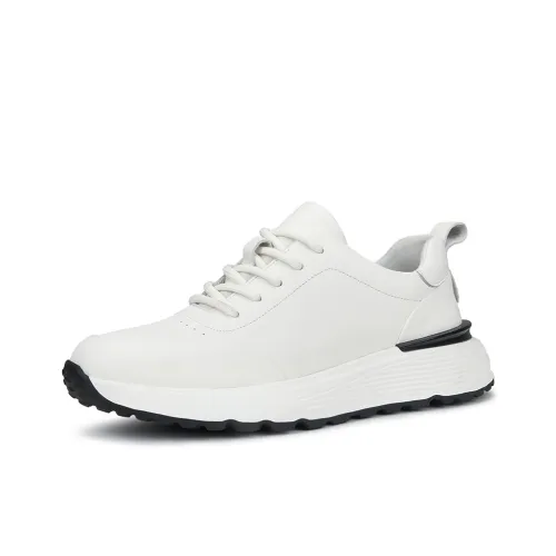 Linsen Low Top Повседневная Обувь Мужская