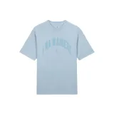 Светло-синий цвет