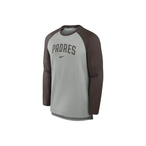 Nike Gray Мужские T-рубашки