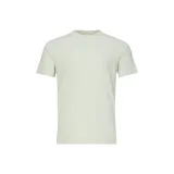 BE-Серебристо-зеленый