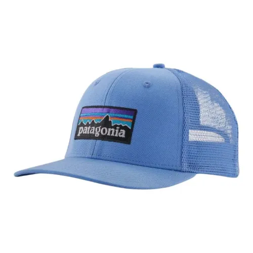 Patagonia Переработанный полиэстер органический хлопок холст кепки унисекс синий