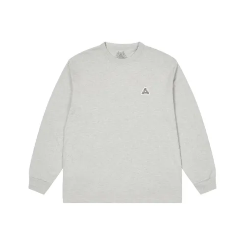 Дворцовый FW24 Серый Унисекс T Рубашки