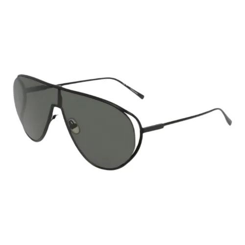 FERRAGAMO Пластик Металл Нерегулярная форма Солнцезащитные очки Женские Черный