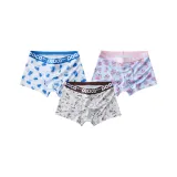 Синий Медвежонок + Самоед + Коала