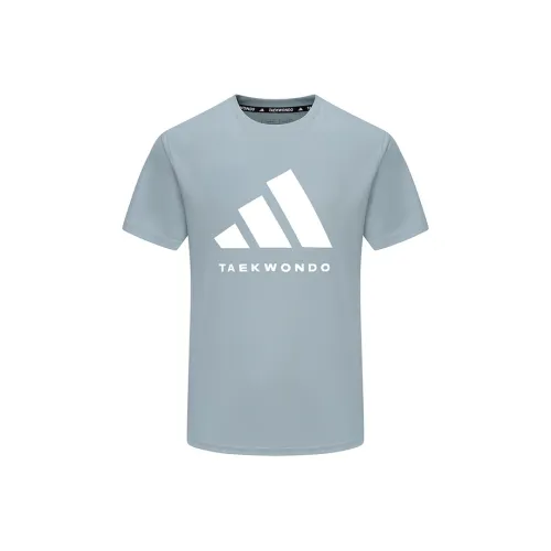 Adidas Мятно-синие Мужские T-рубашки