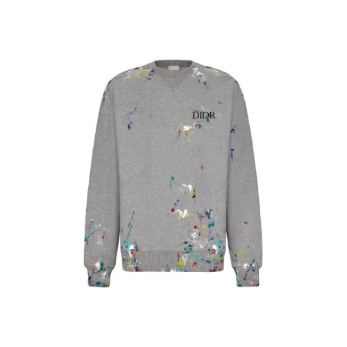 DIOR Quarterly New Products Серый Мужской Свитшот