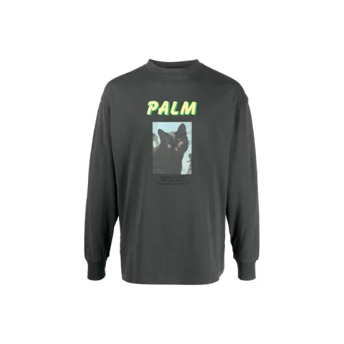 PALM ANGELS Мужские свитшоты цементного черного цвета