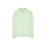 Светло-зеленый